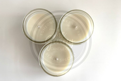 Merry Christmas Bells Holiday Candles