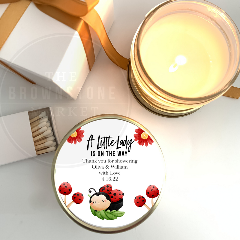 Baby Shower Party Favor - Little Ladybug
