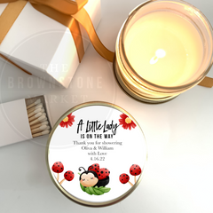 Baby Shower Party Favor - Little Ladybug